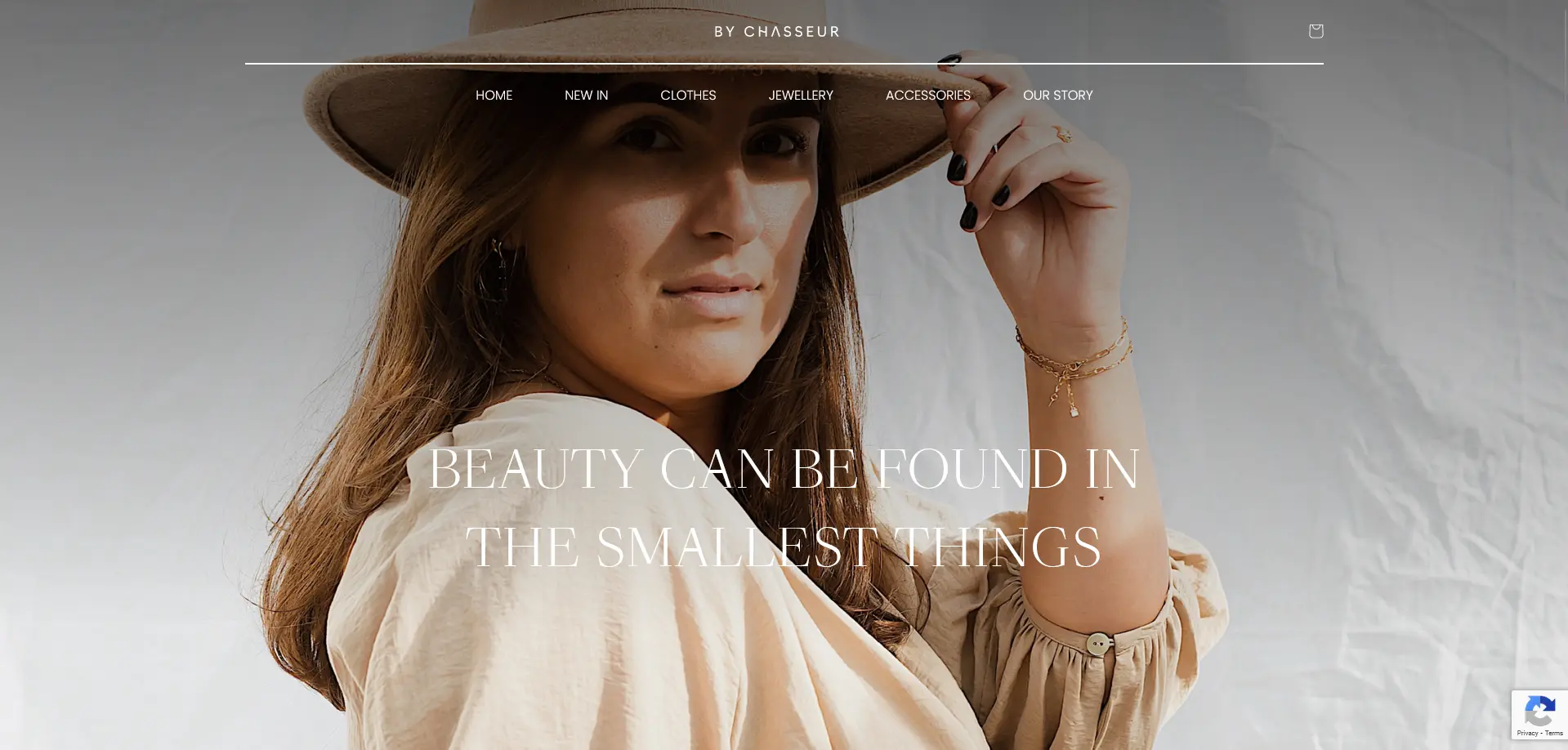 Screenshot of the homepage from the website By Chasseur