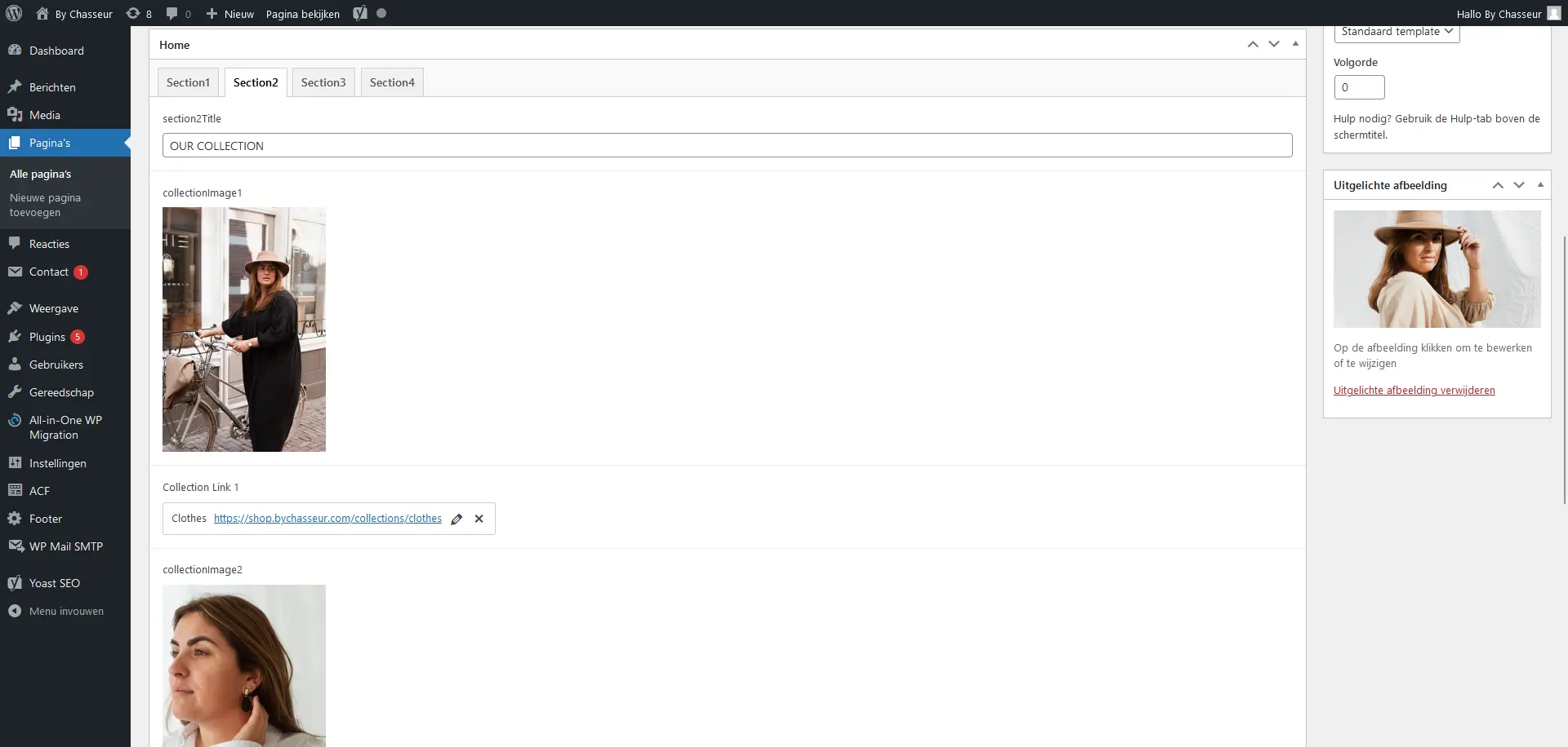 A screenshot of the back-end content management system WordPress